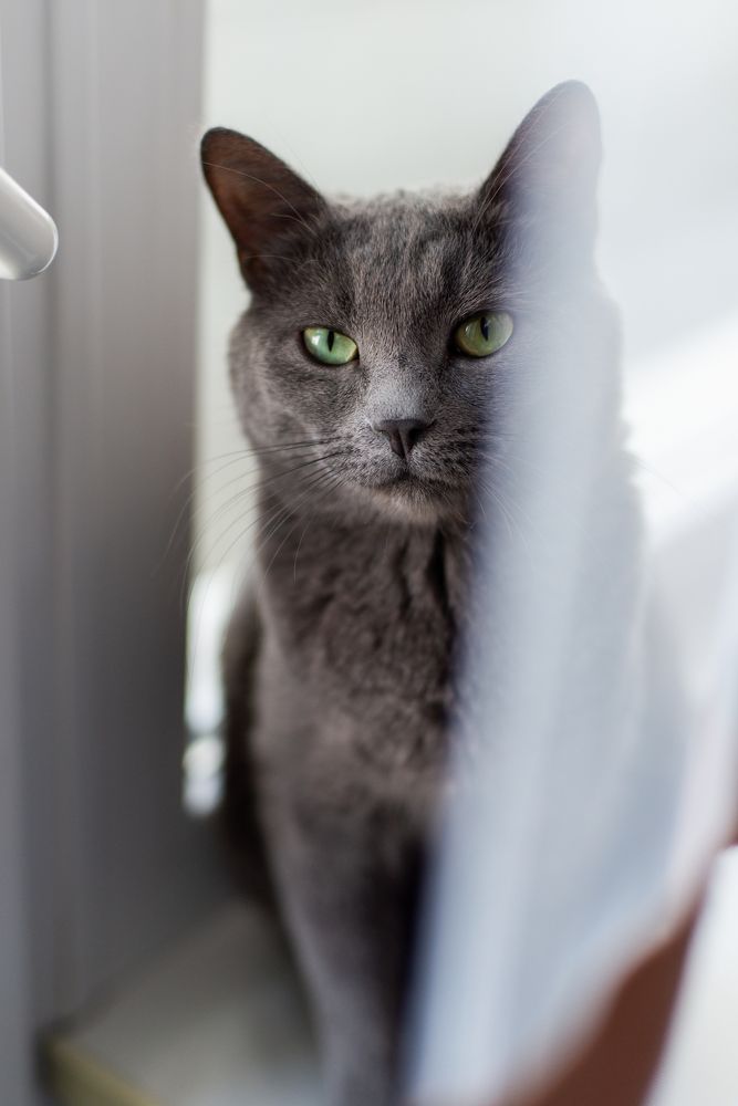 Photograph by Маргарита Гарнец