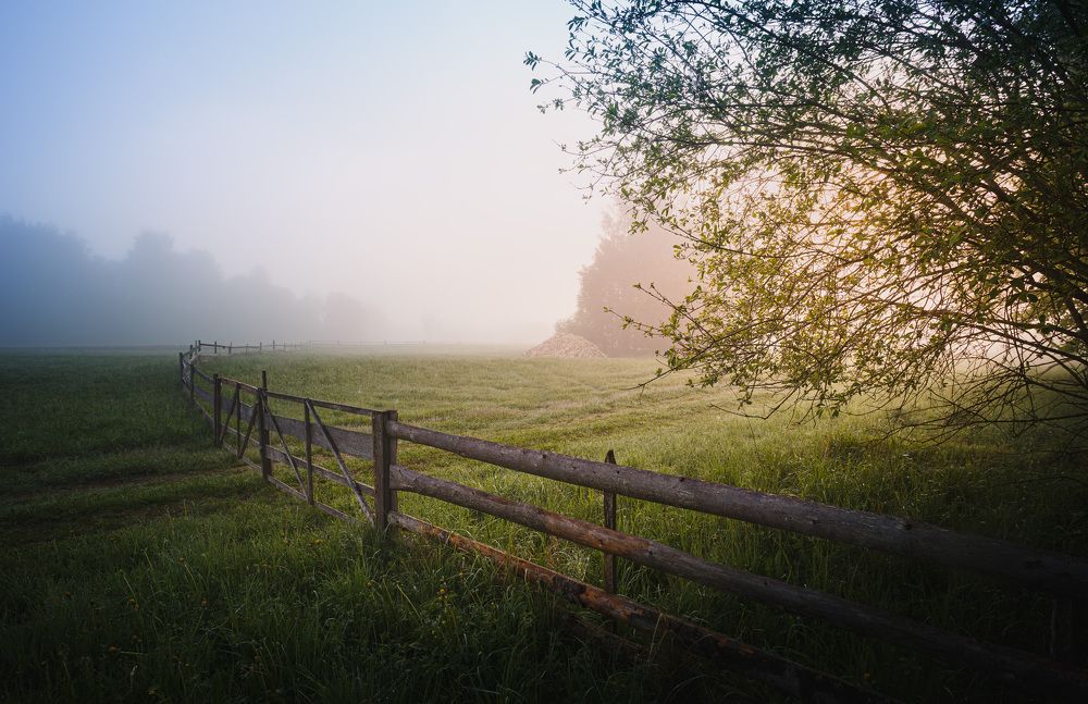 Весеннее утро