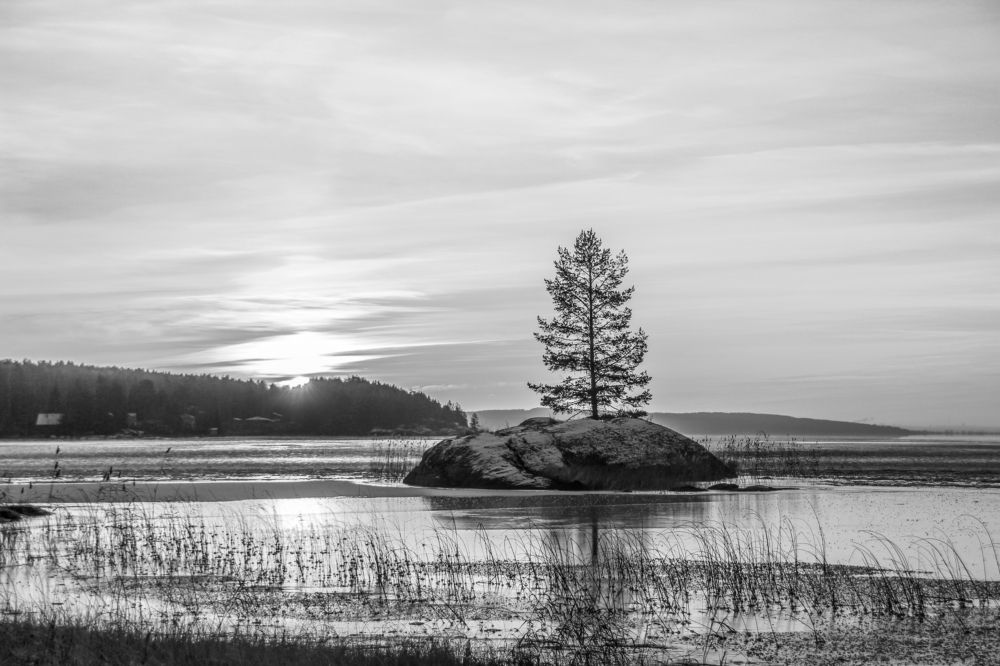 Photograph by Lev Kaufman