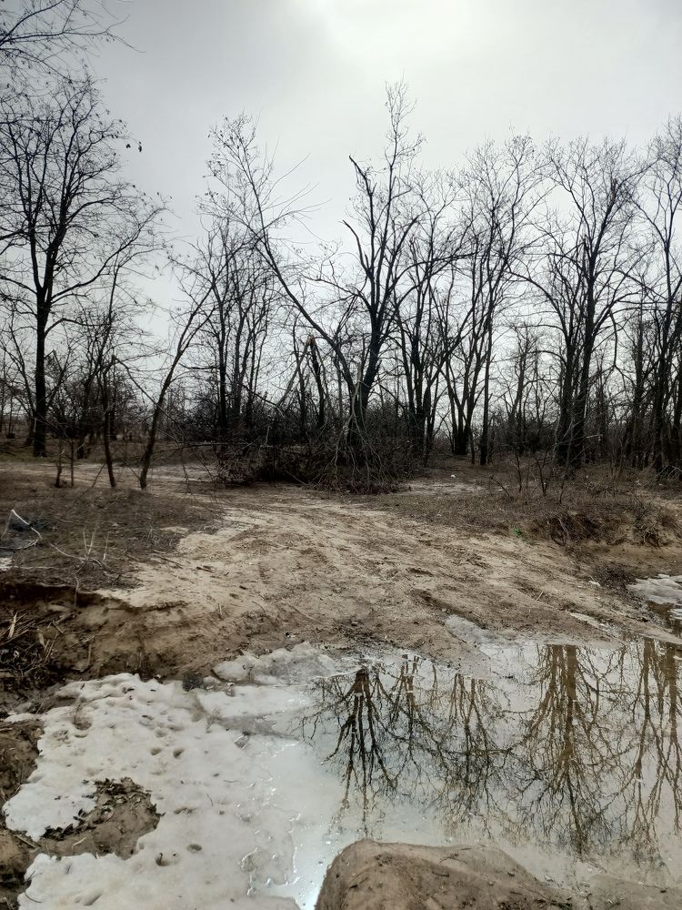 Фотография автора Виталий Петухов