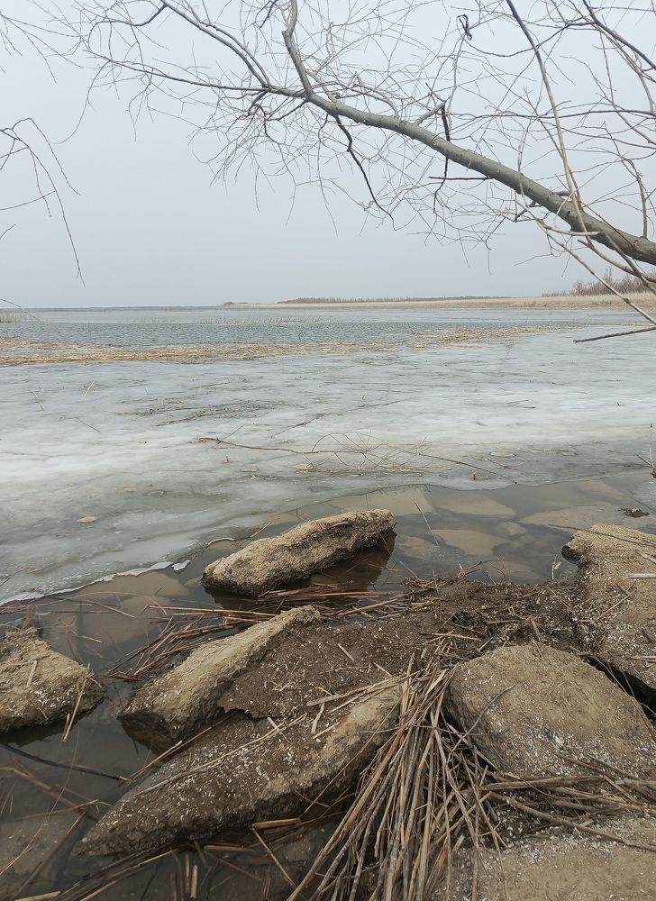 Фотография автора Виталий Петухов