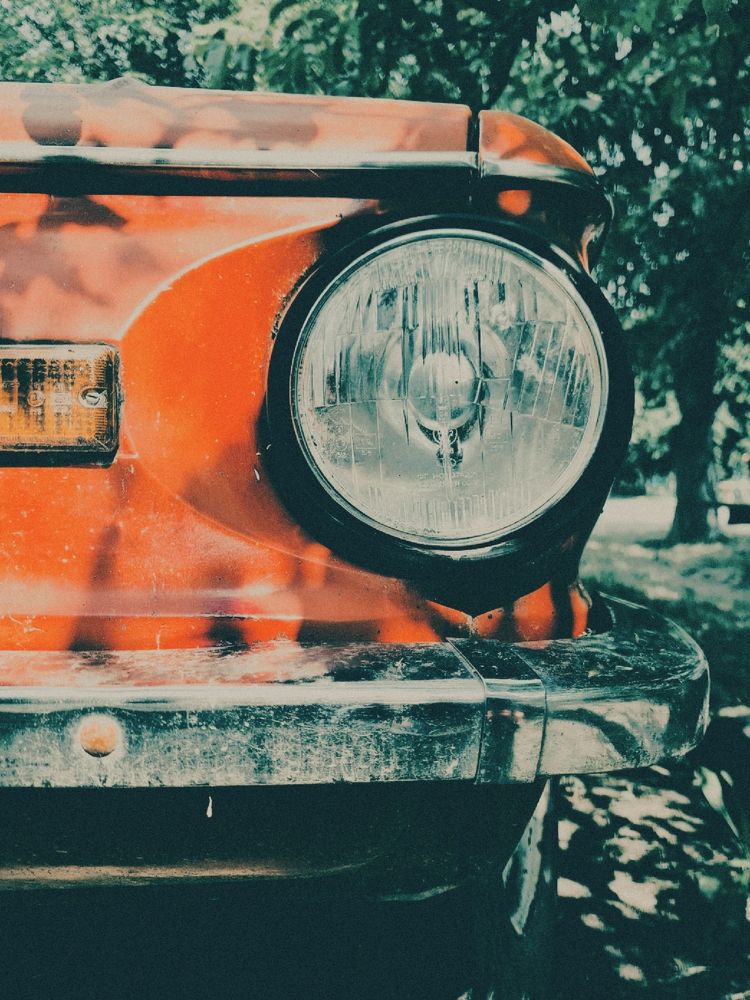 Photograph by Victoria Stoliarenko