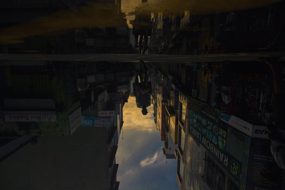 The shadow of life on the road