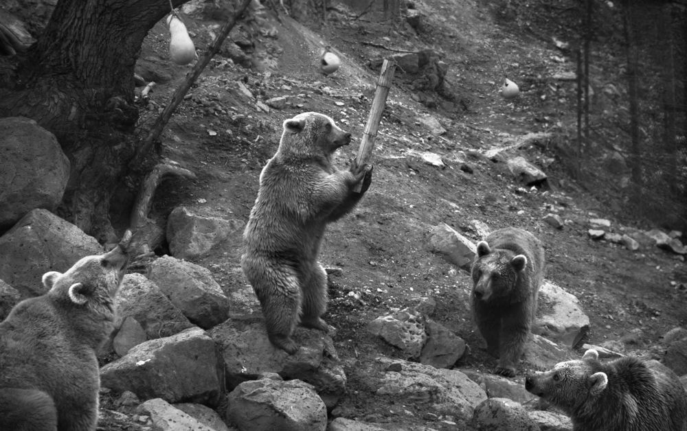 Photograph by Tatevik Tananyan