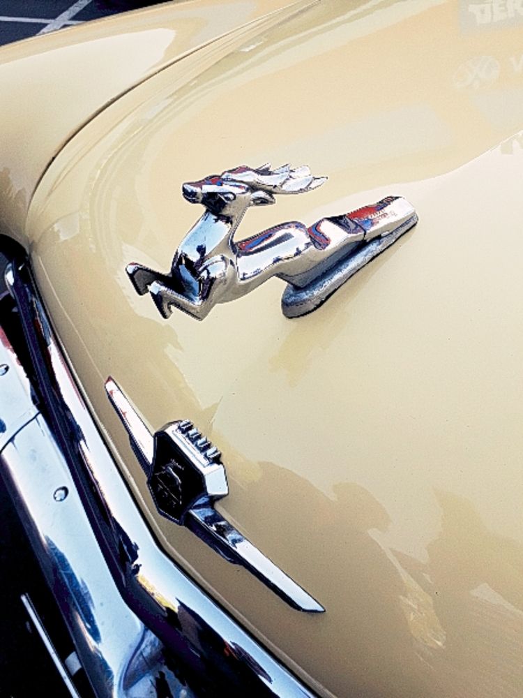 Photograph by Марина Гусева