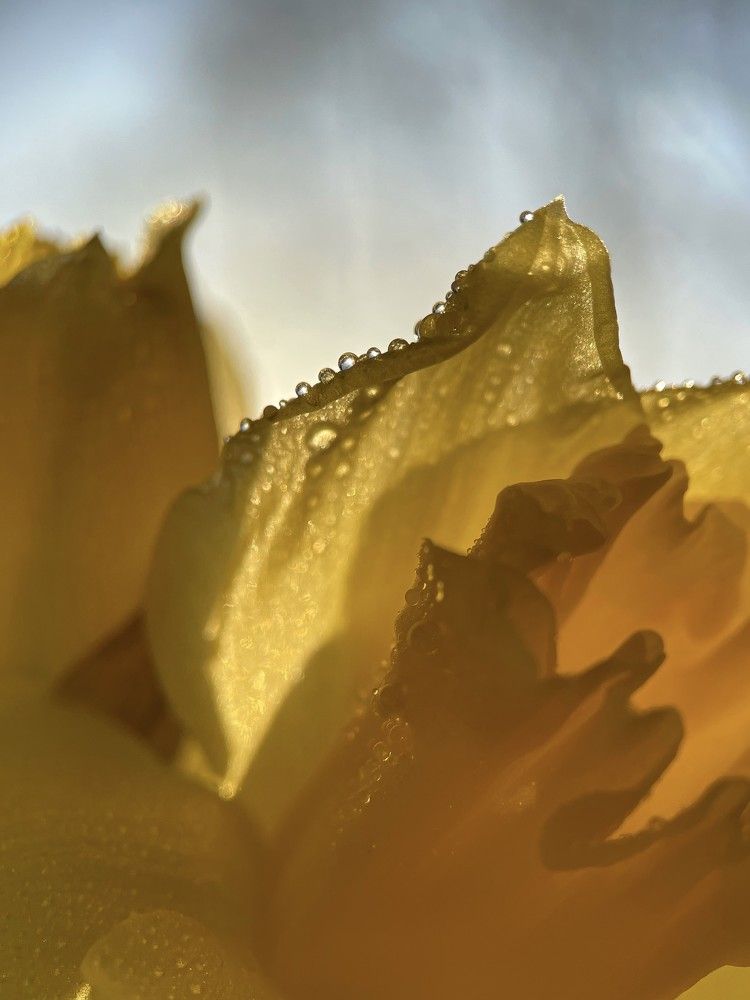 Photograph by Veronika Vilima