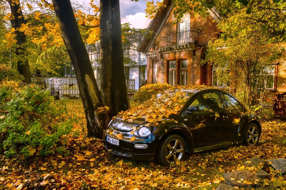 Photograph by Janis Serdienis