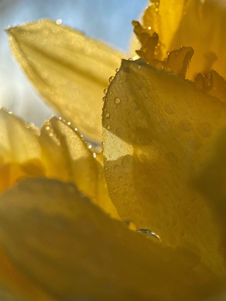 Photograph by Veronika Vilima