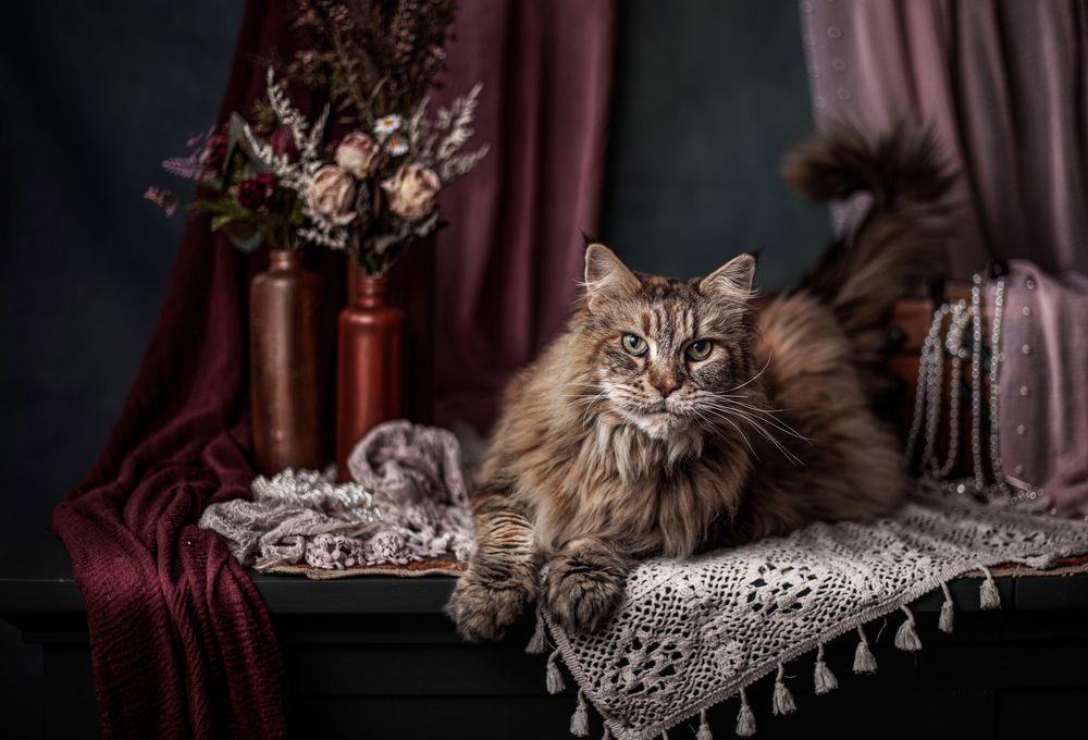 Photograph by Gertrude Goené