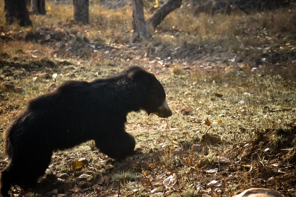 Photograph by Annwaina Deb