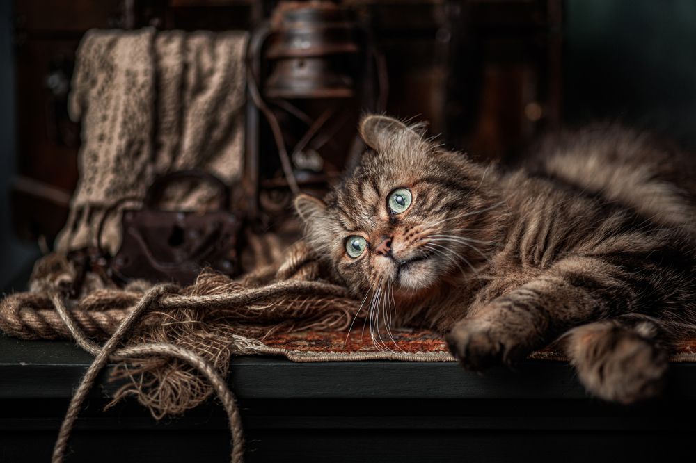 Photograph by Gertrude Goené