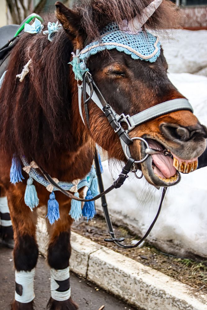 Photograph by Аня Косс