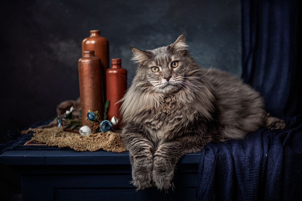 Photograph by Gertrude Goené