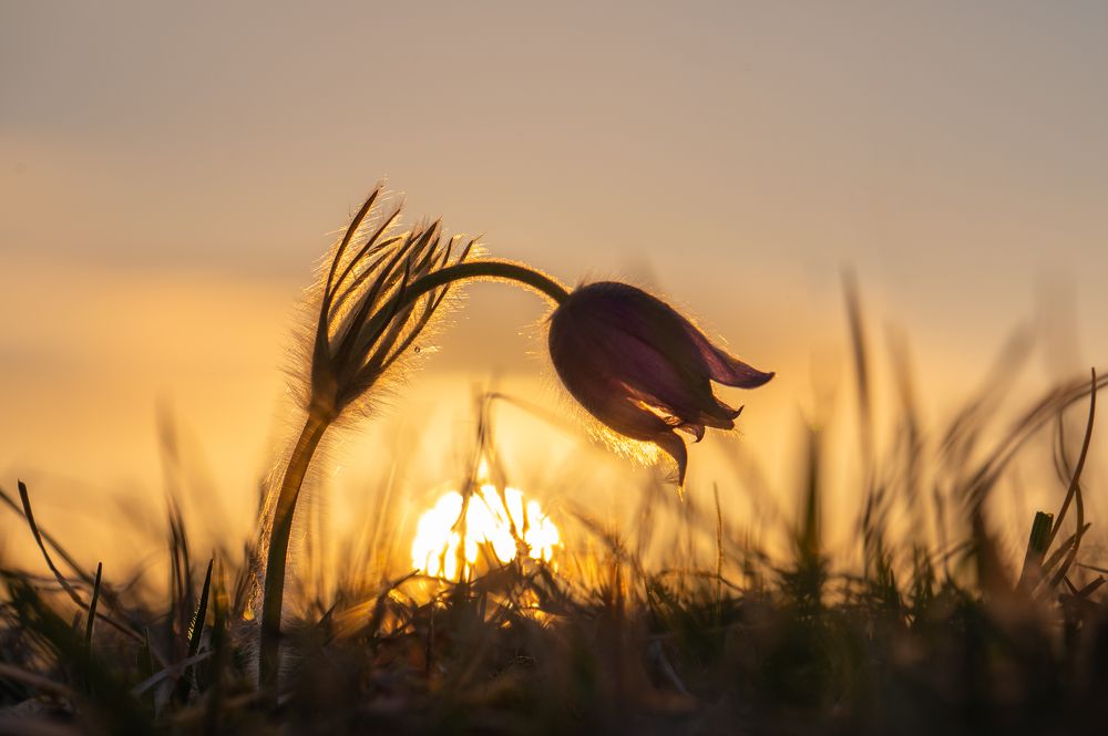 Фотография автора Martin Koudelka