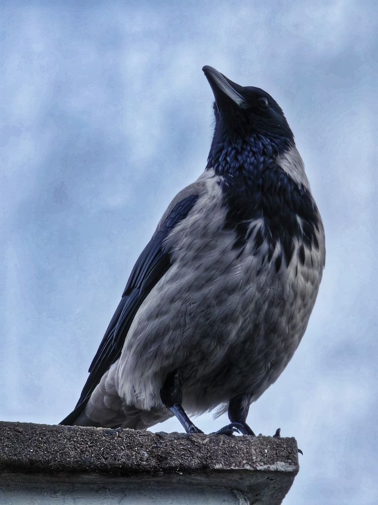 Photograph by Андрей Тур