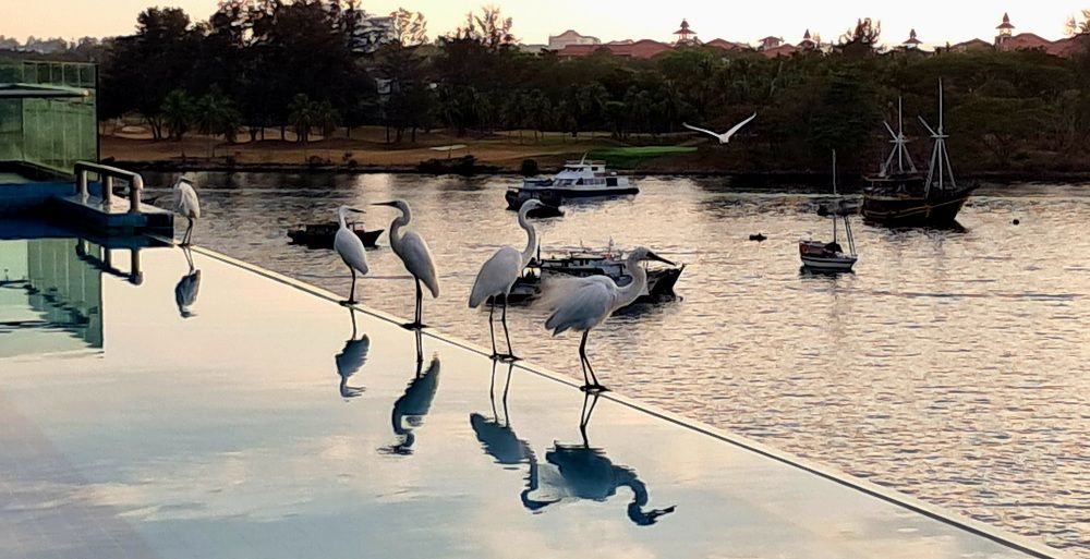 Photograph by FELOMINA ENDEREZ