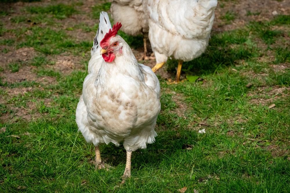 Фотография автора Валерий Бычков