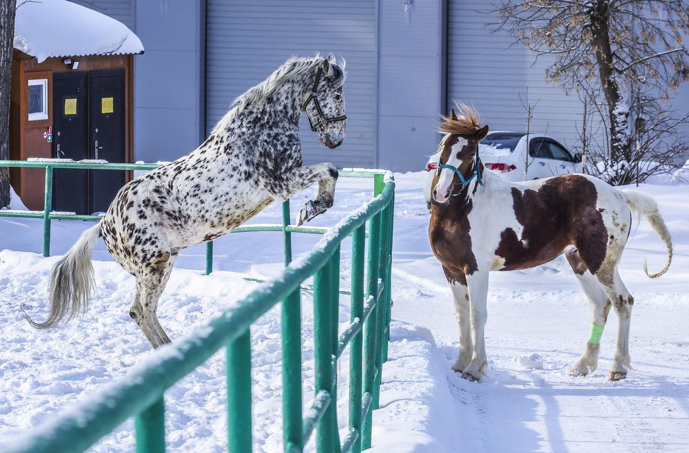 Photograph by Михаил Измайлов