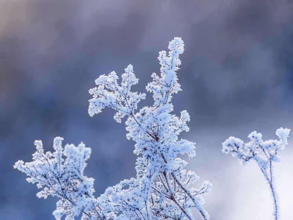 Фотография автора Евгений Чабанный