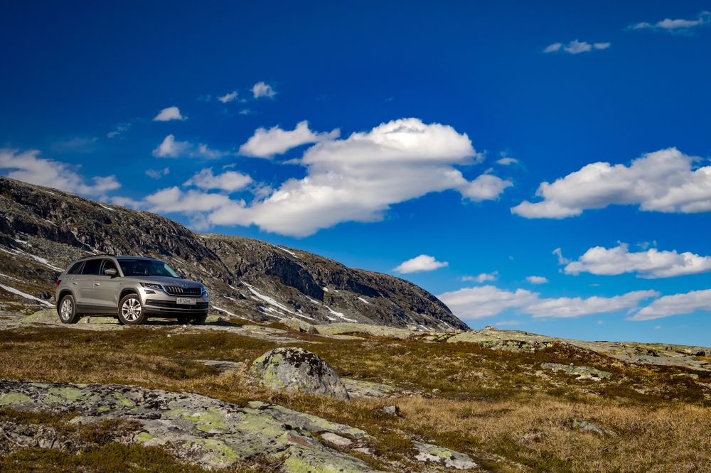 Photograph by Юлия Шурандина