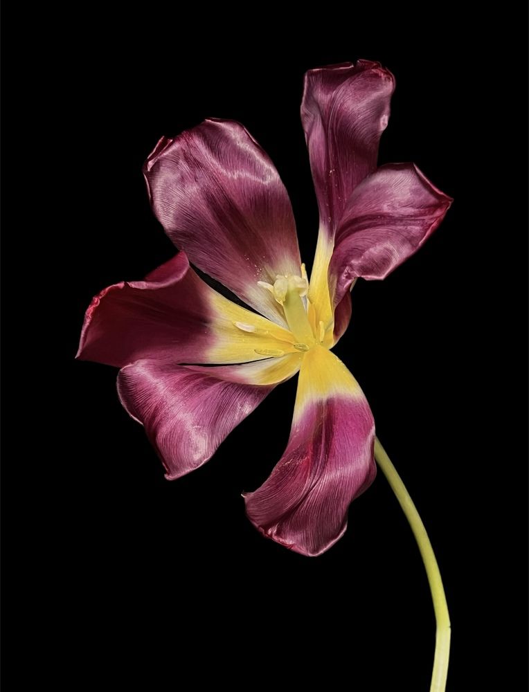 Photograph by Елена Громова