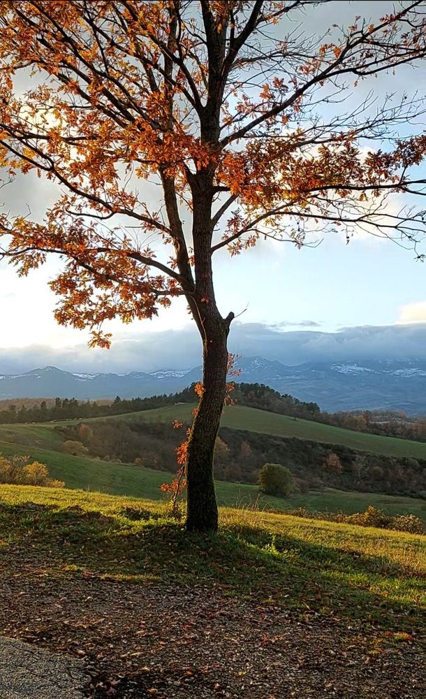 Photograph by Анжела