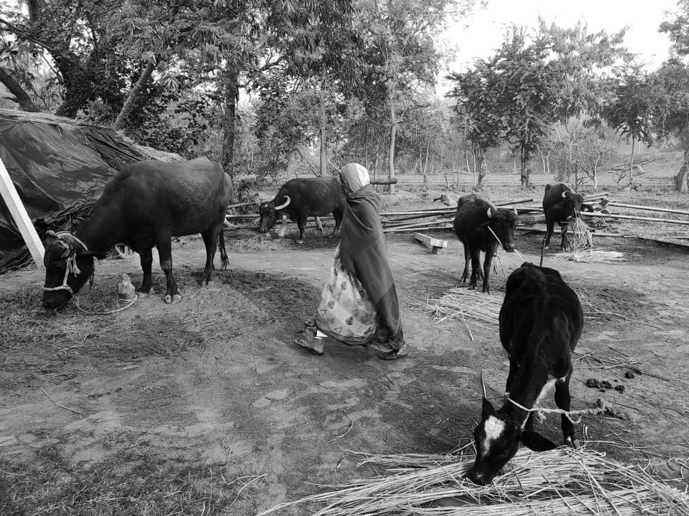 Photograph by Vivek Pawar