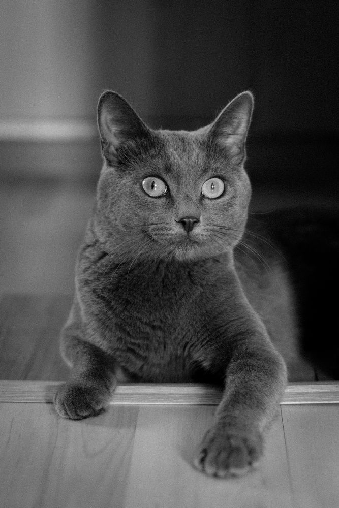 Photograph by Маргарита Гарнец