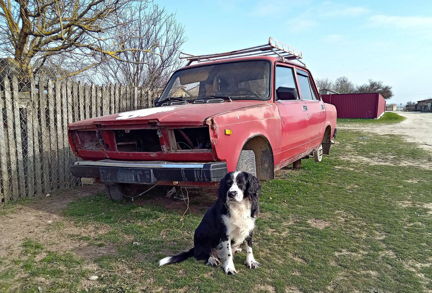 Photo #10485770
