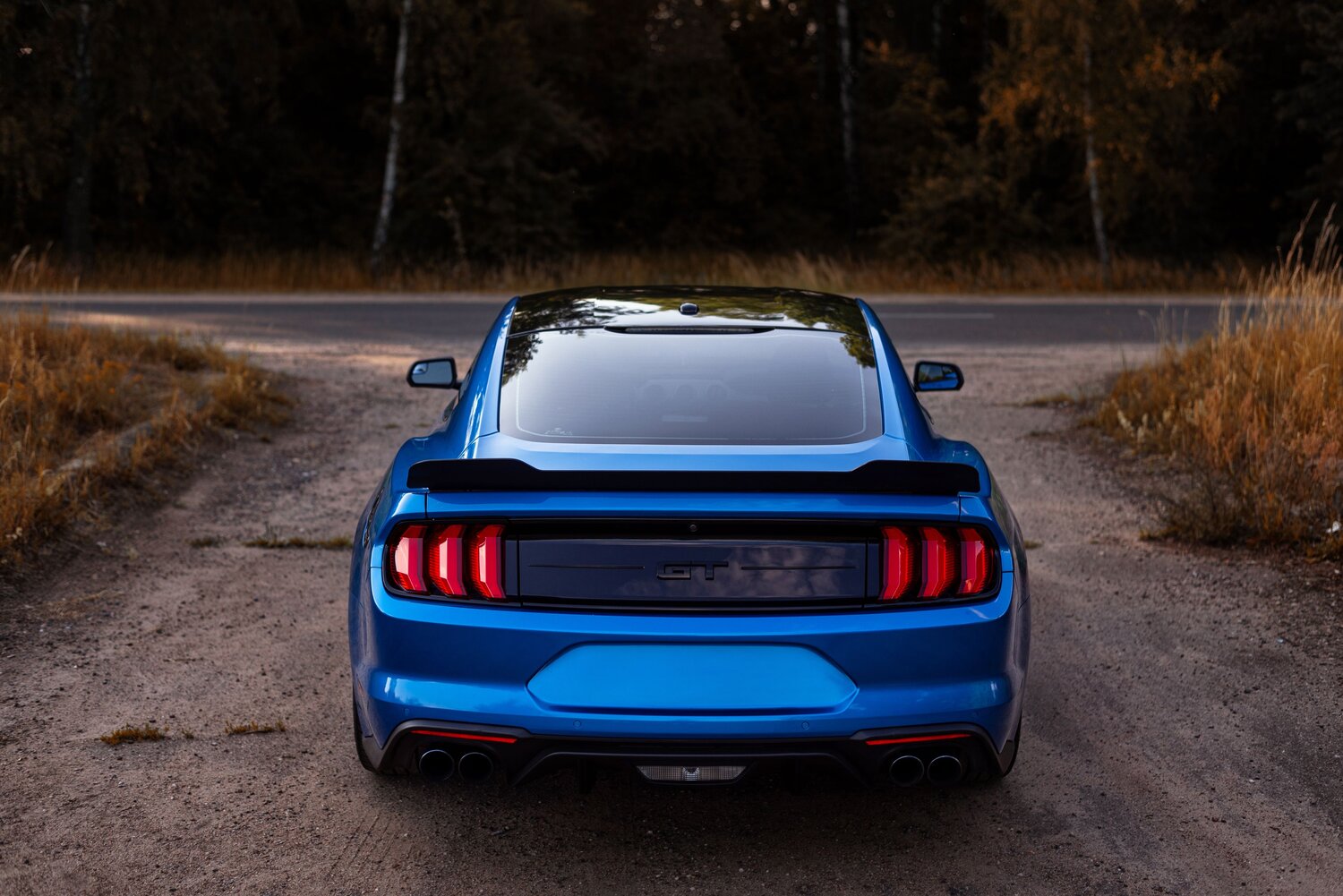 Photo #10485874