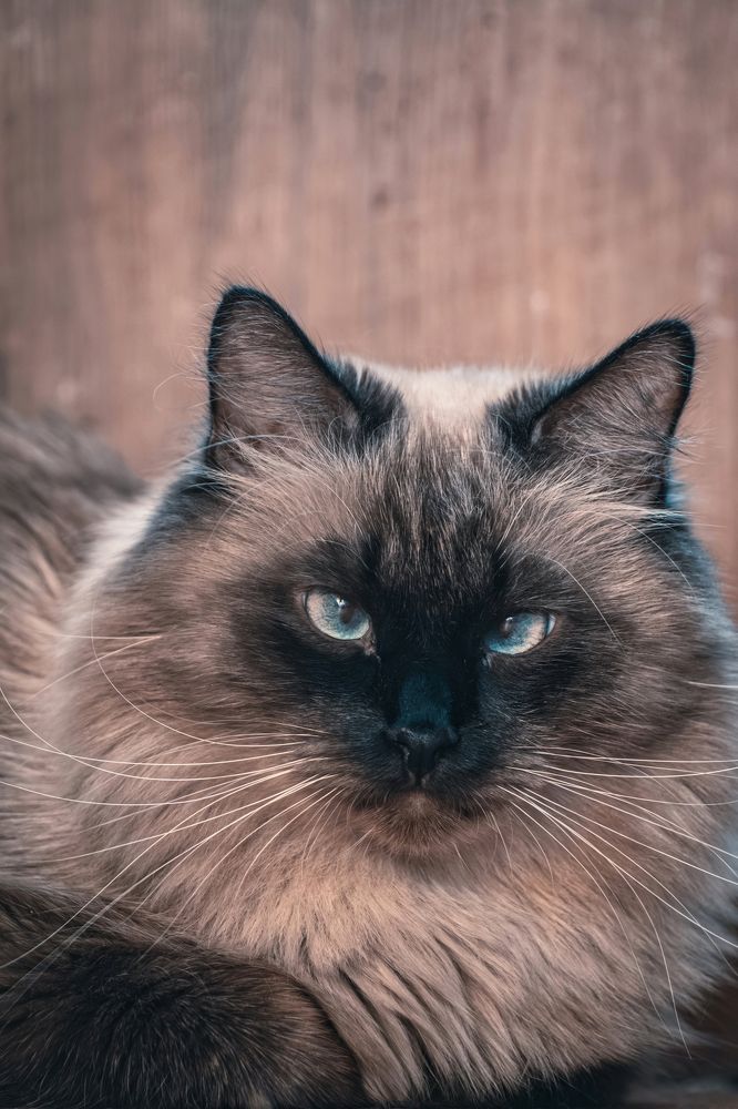 Photograph by Corey D