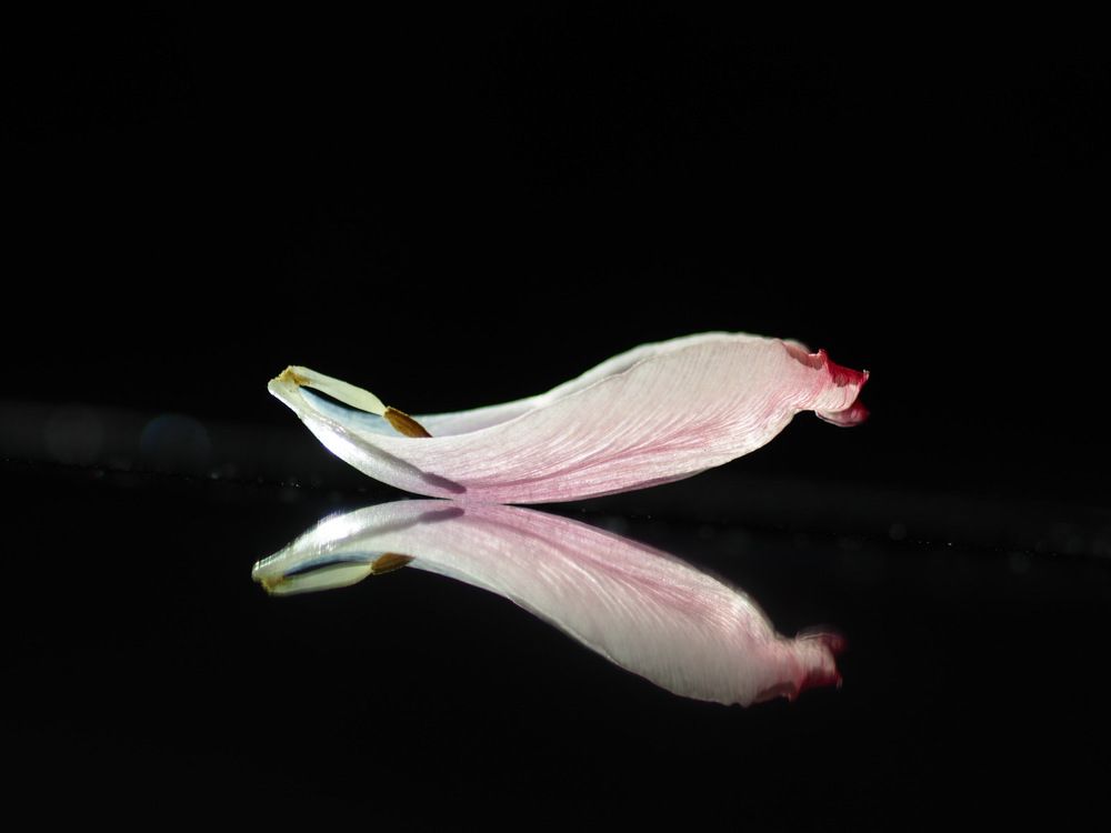 Photograph by Наталья