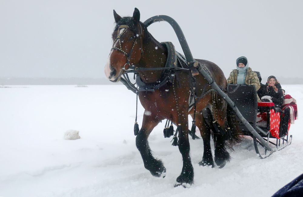 Photograph by Ольга Стоун