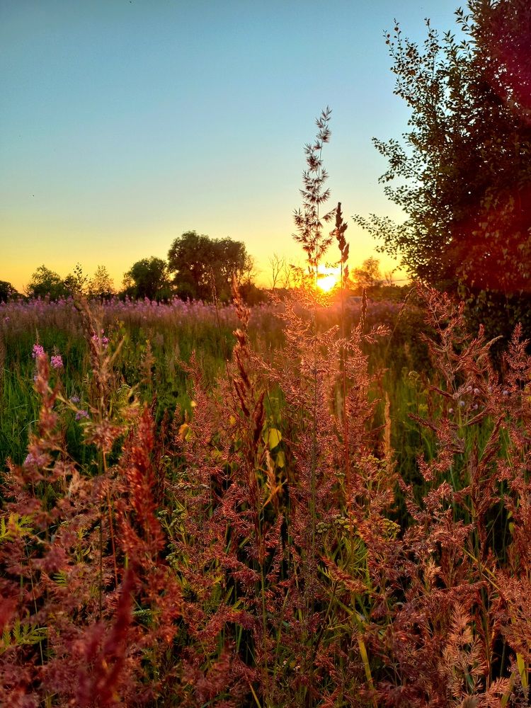 Photograph by Яна