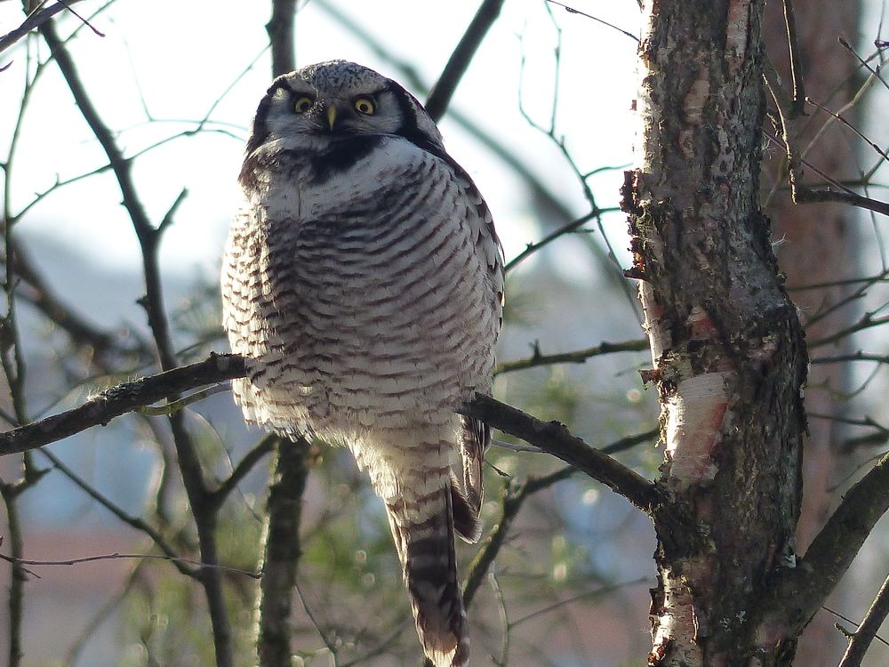 Photograph by Георгий Салюков