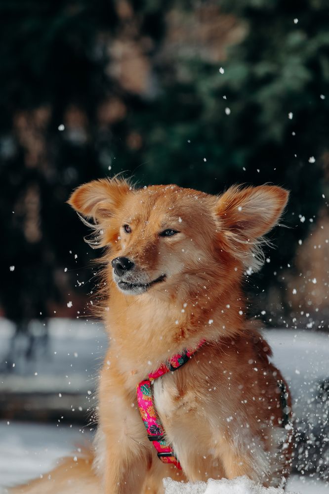 Photograph by Валерия Гуртовая