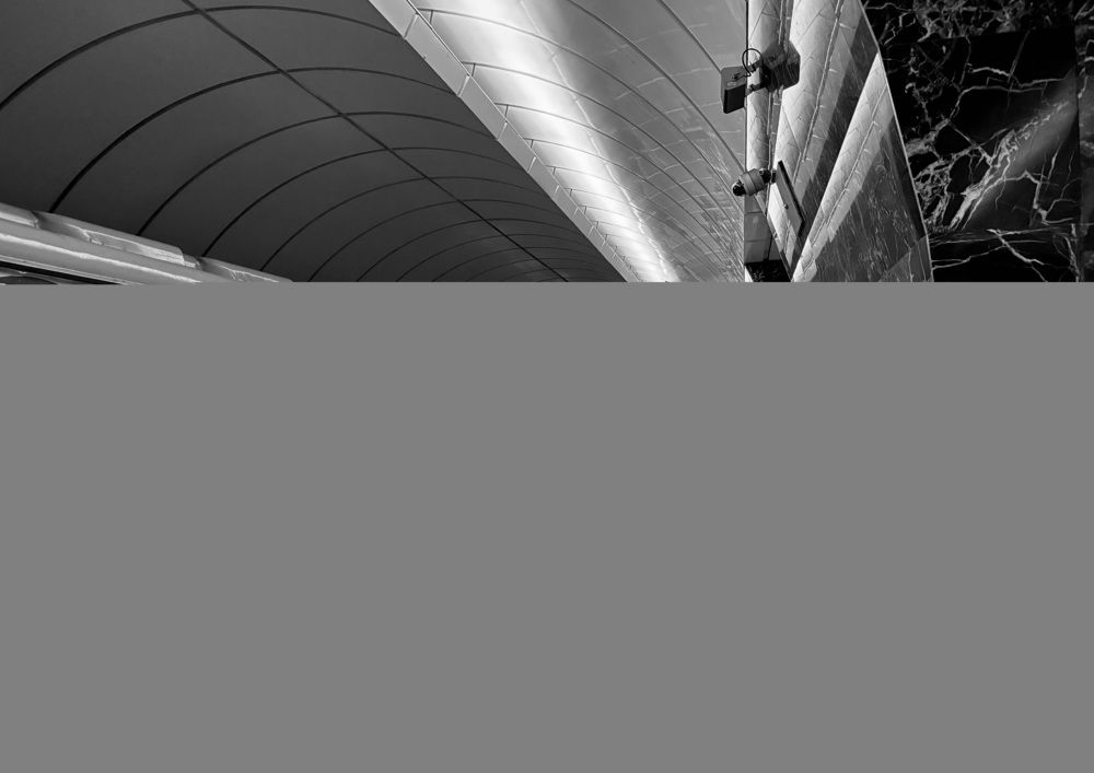 Photograph by Olga Mendosa