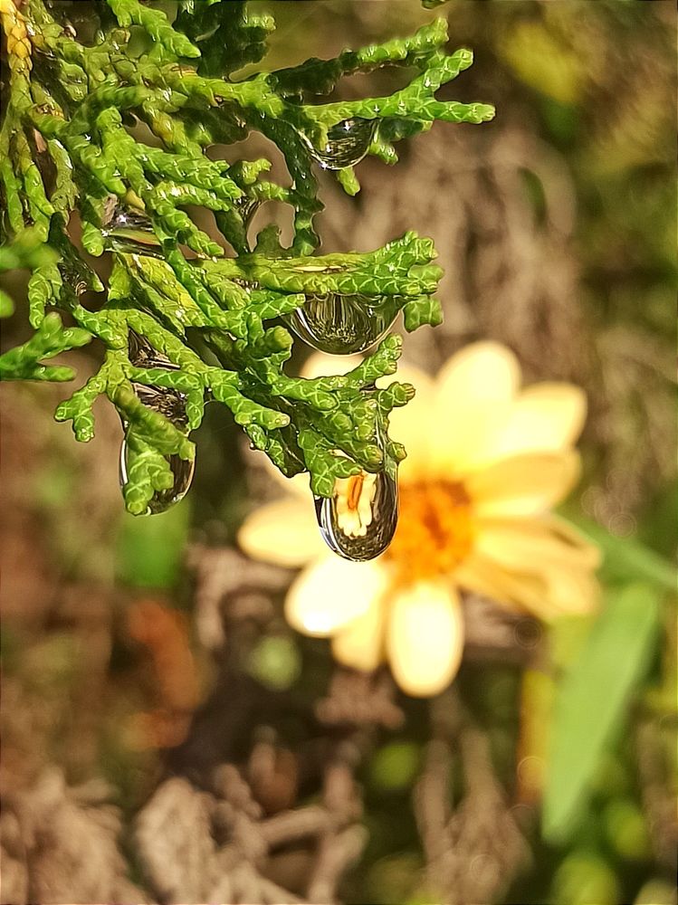 Photograph by Ольга Тихонова