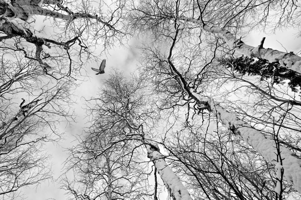 Photograph by ARTEM KORZHUKOV