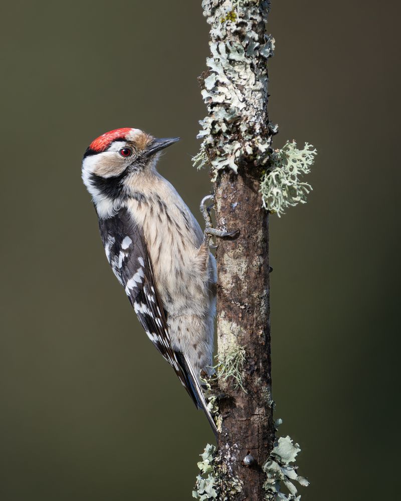 Фотография автора Jorge Rey Azabal