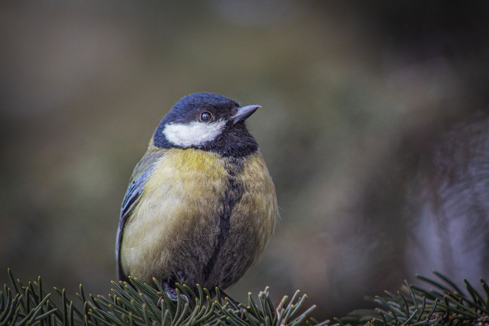 Photograph by Анна Осинцева