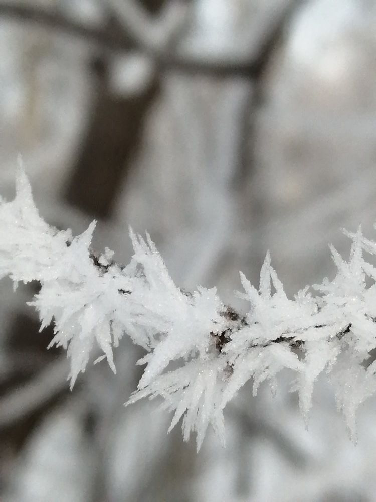 Photograph by Галина Попова