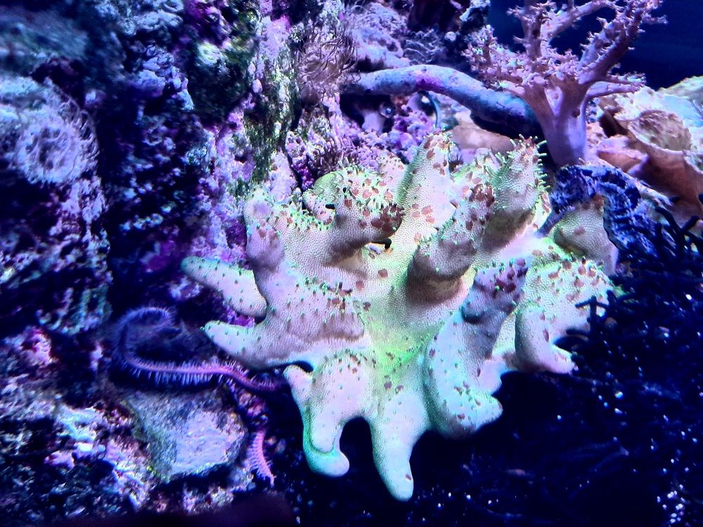 Photograph by Елена Маркова