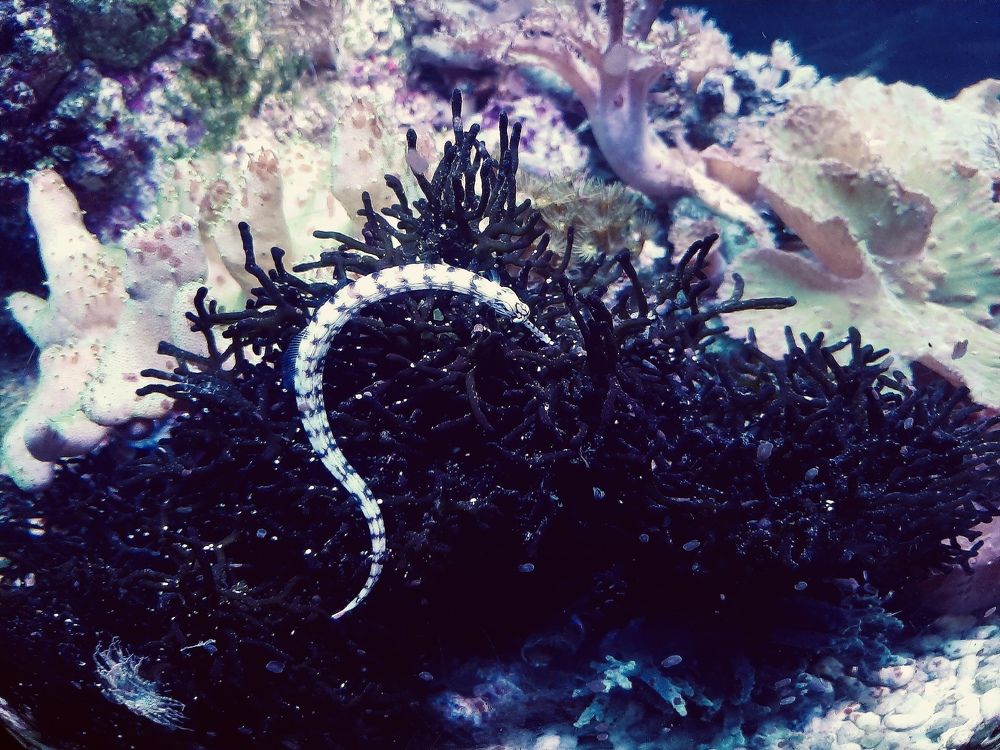 Photograph by Елена Маркова