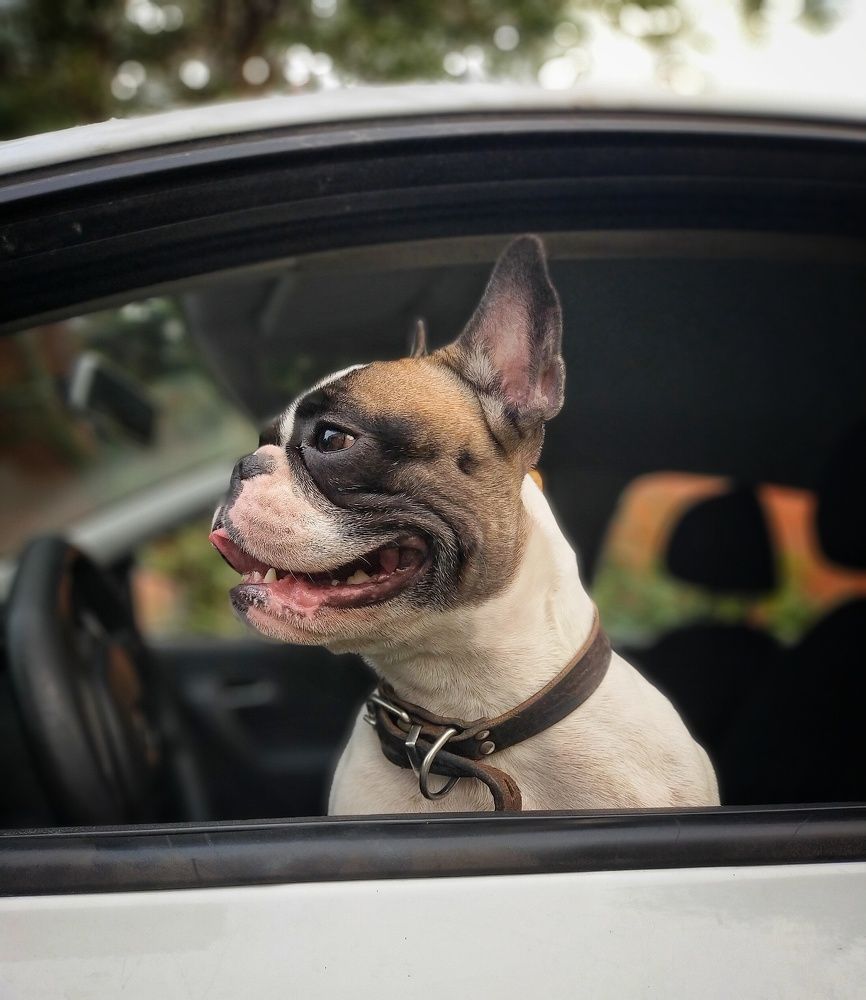 Photograph by Ольга Мартьянова