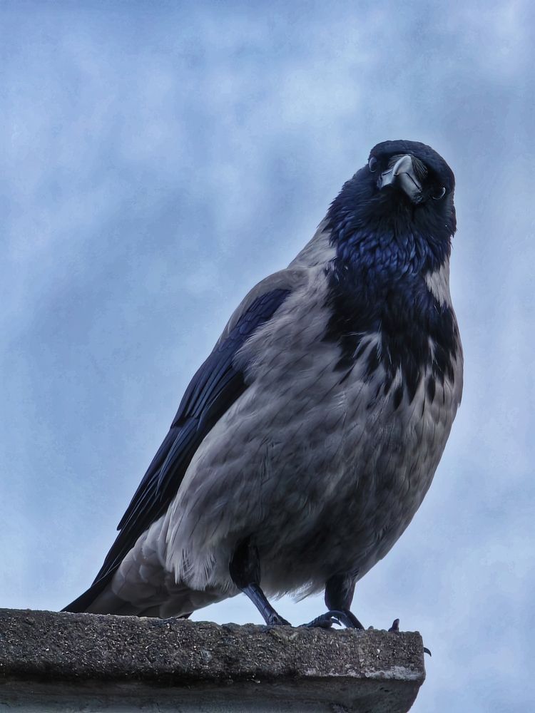 Photograph by Андрей Тур