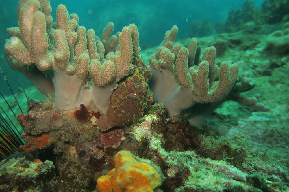 Photograph by Quyen Pham