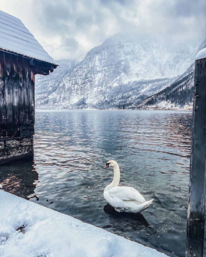 Photograph by Elīna Emare