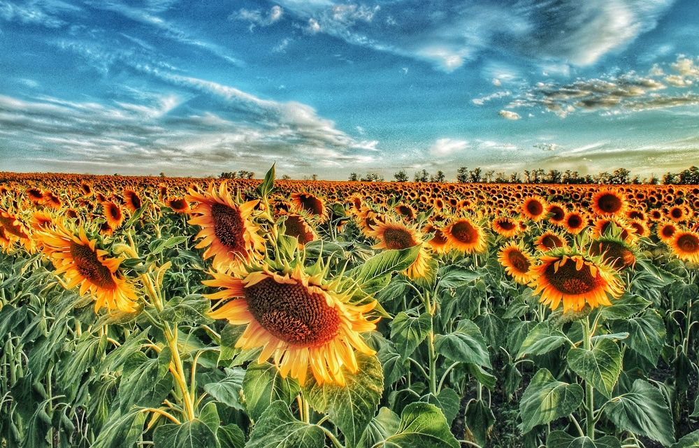 Photograph by Наталья Исиченко