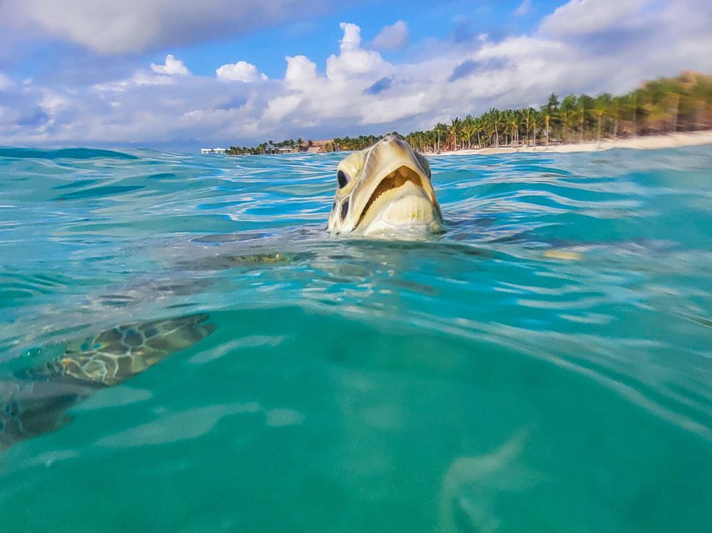 Photograph by Валерия Гуртовая